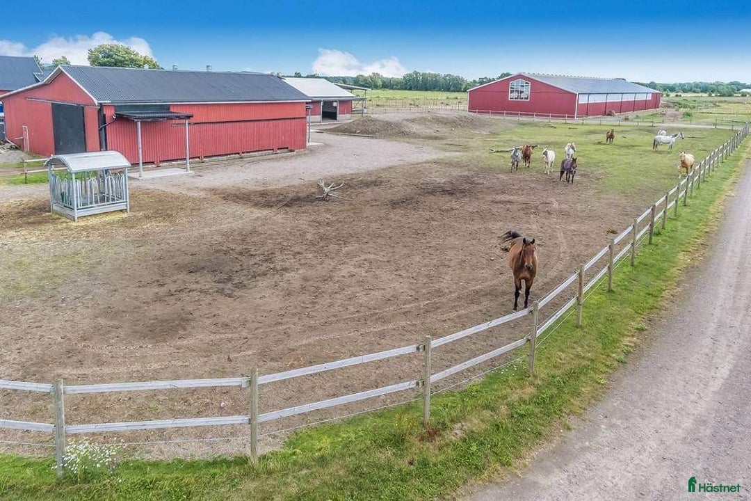  stallplats finnes: Stallplats ledig, box och lösdrift  i Tvååker - Bild 5