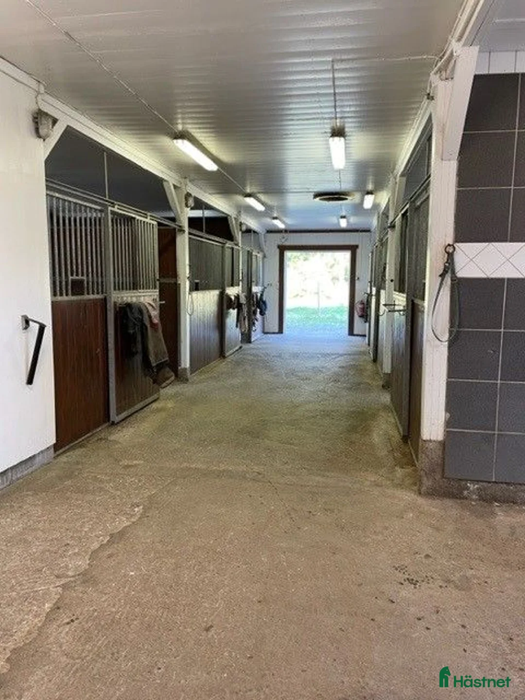  stallplats finnes: Lösdriftsplats finnes - Annons 2