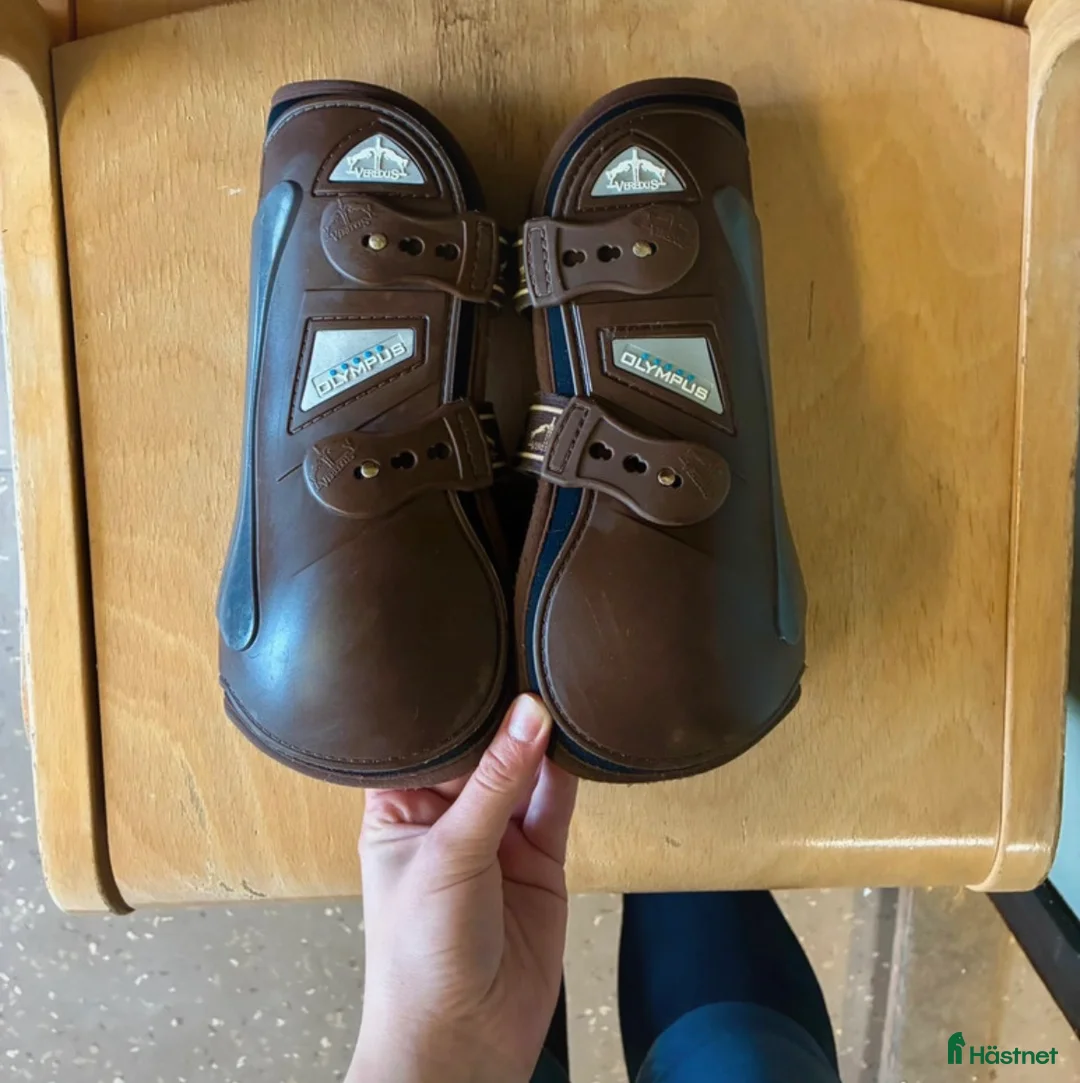 Benskydd hästutrustning till salu: Veredus olympus strl L - Annons 1