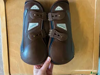 Benskydd hästutrustning Veredus olympus strl L - Annons 1