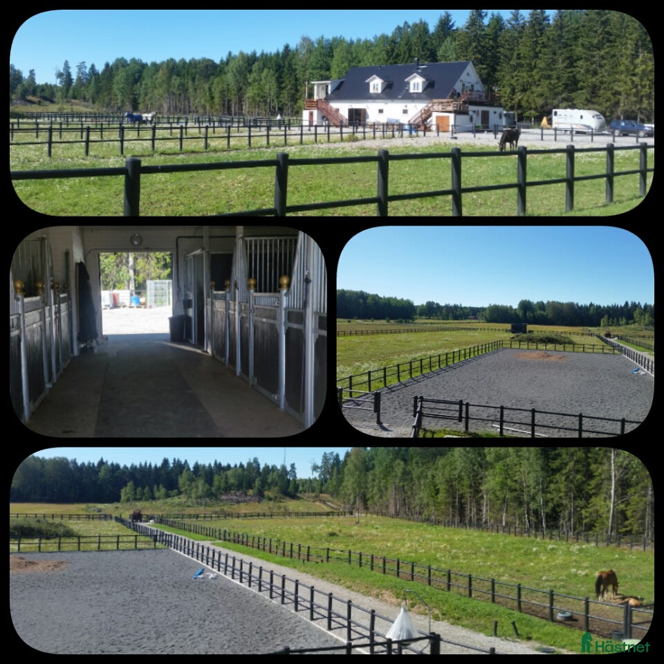  stallplats Ledig stallplats med fullservice i Bålsta - Annons 14