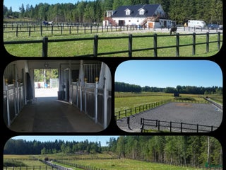 stallplats Ledig stallplats med fullservice i Bålsta - Annons 7