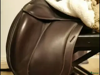 Sadlar hästutrustning Luc Childeric DI i Linköping - Annons 17