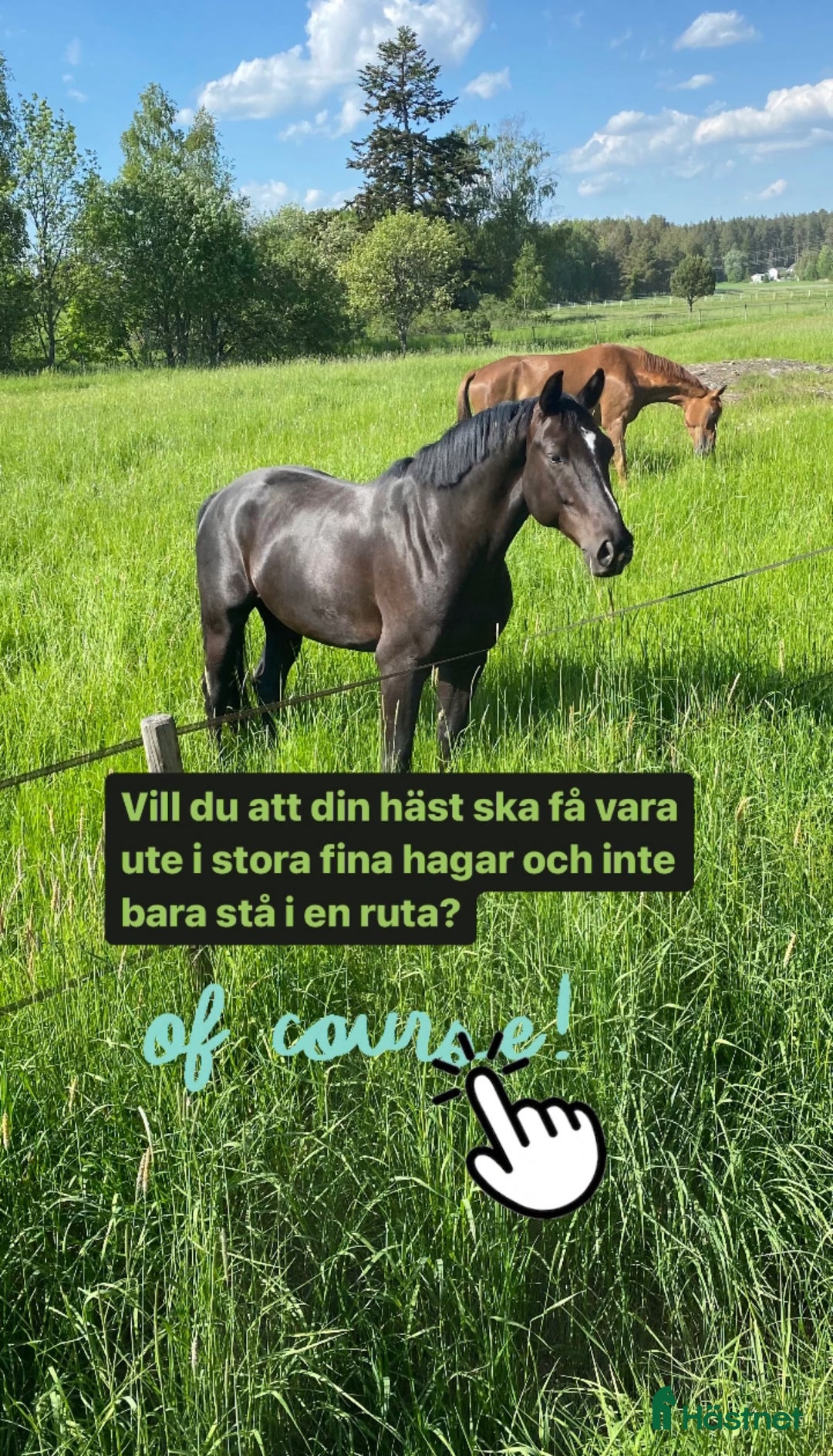  stallplats finnes: Uppstallning Norra Sthlm i Rosersberg - Bild 5