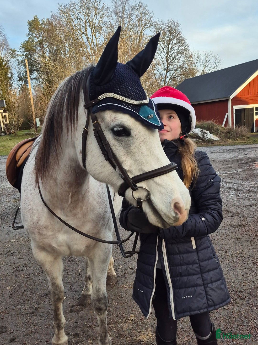 Allround hästar sökes: Ponny sökes i Österbybruk - Annons 1