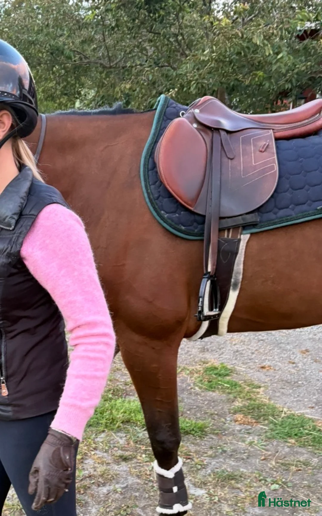 Sadlar hästutrustning till salu: Renaissance väldigt fint skick i Ekerö - Annons 4