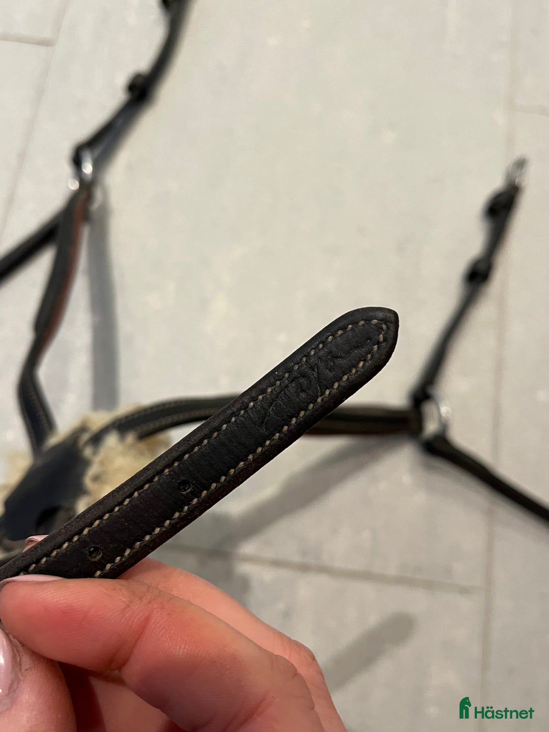 Träns hästutrustning till salu: Pullarnosgrimma dyon i Dalby - Annons 3