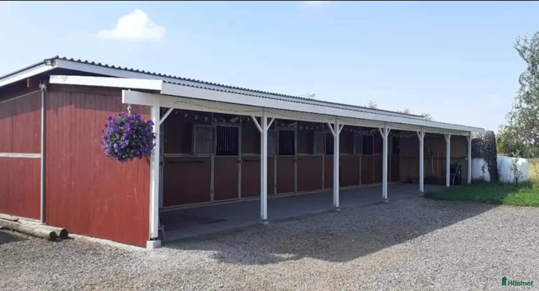  stallplats finnes: 1 ledig plats på underbar lösdrift  i Hörby - Annons 24