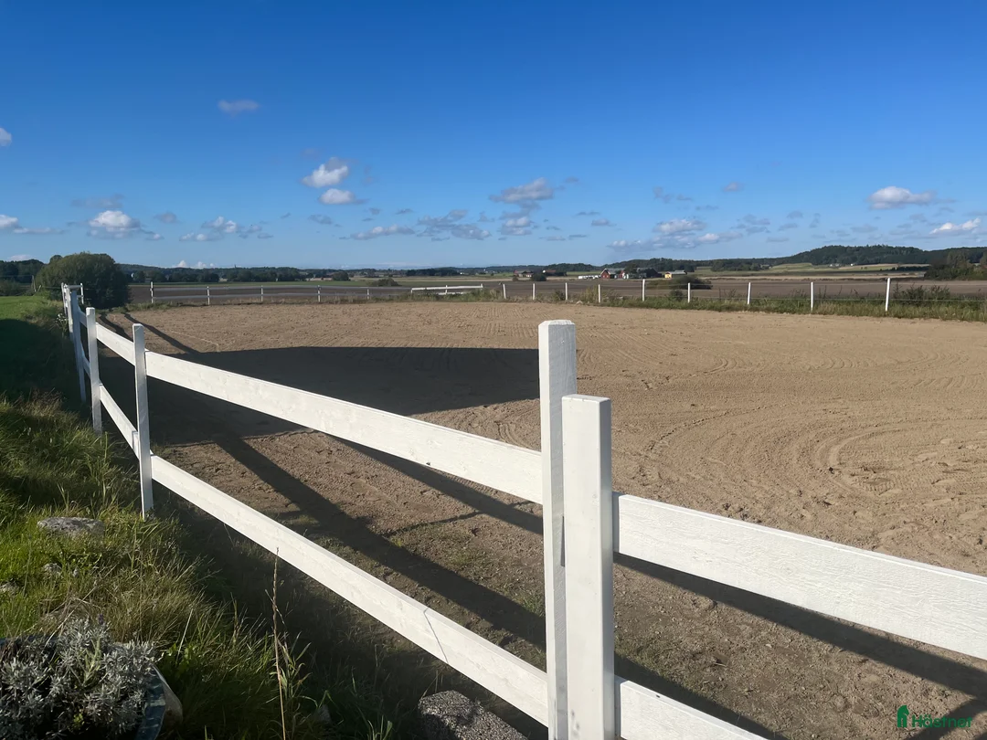  stallplats finnes: Lediga boxar - Annons 4