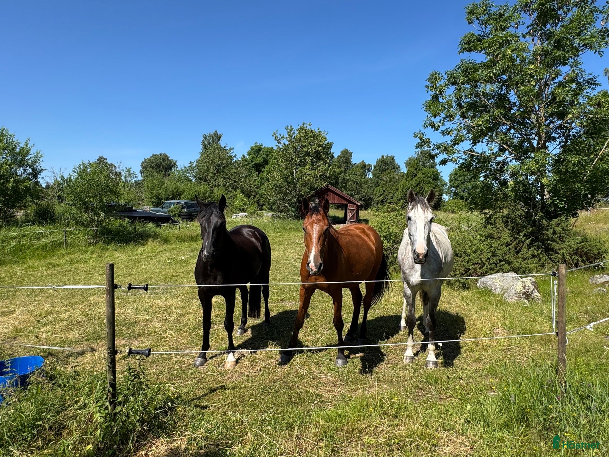  stallplats Lösdrift - Annons 1