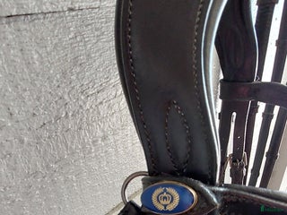 Träns hästutrustning till salu: PS träns i Frändefors - Annons 1