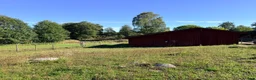  stallplats finnes: Islandshäststall - Stallplats eller hela stallet - Annons 5