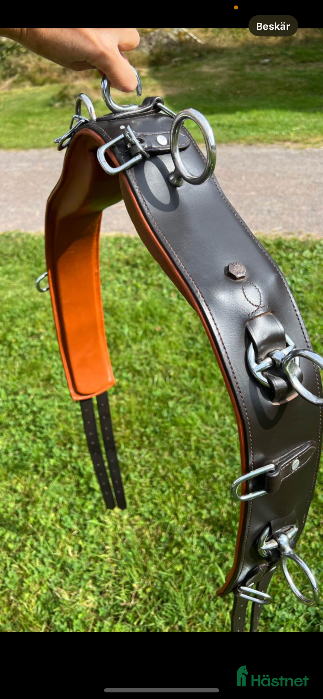 Övrig Hästutrustning hästutrustning till salu: Tömkörningsgjord Stl full ny skick  i Älvkarleby - Annons 1