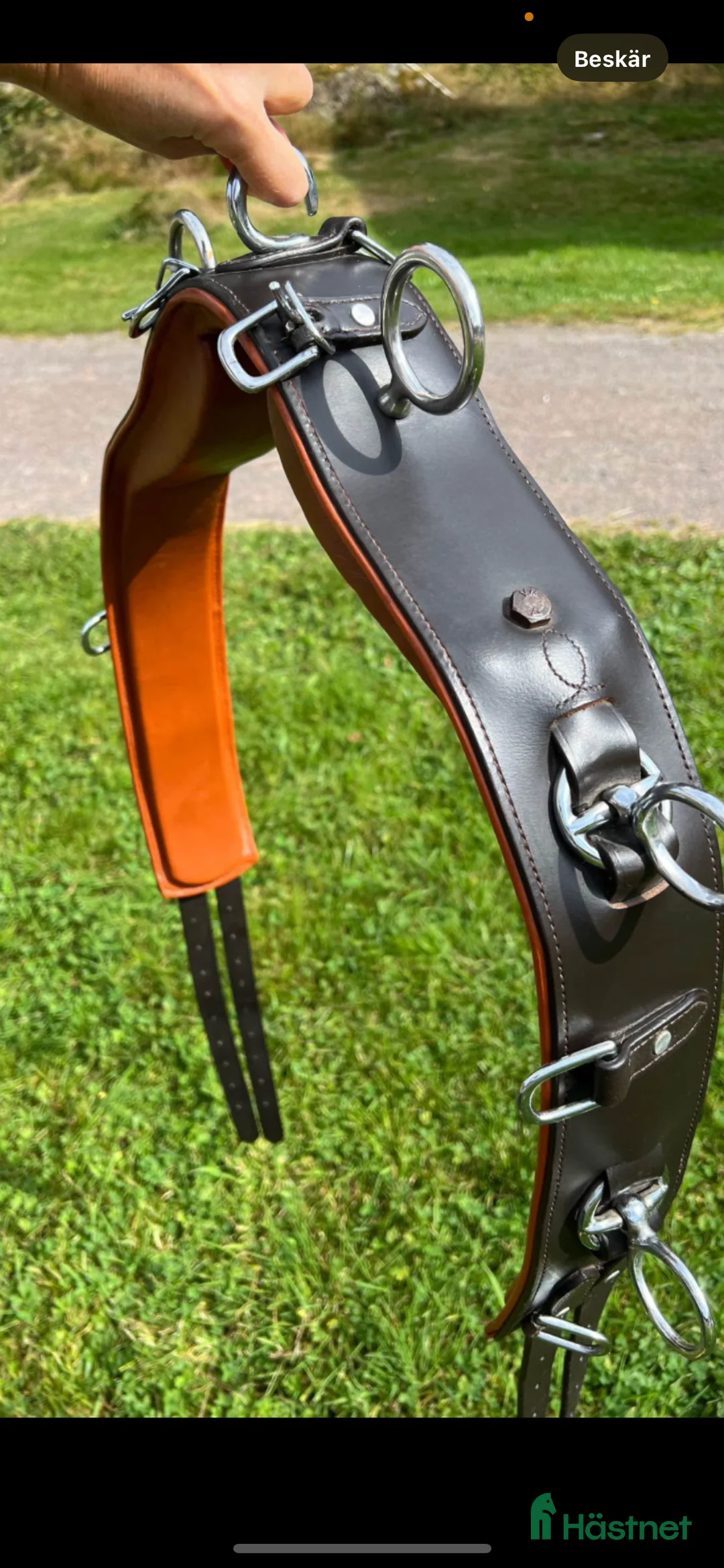 Övrig Hästutrustning hästutrustning till salu: Tömkörningsgjord Stl full ny skick  i Älvkarleby - Annons 1