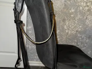 Träns hästutrustning till salu: Finesse kandar storlek full svart/mässing i Motala - Annons 2