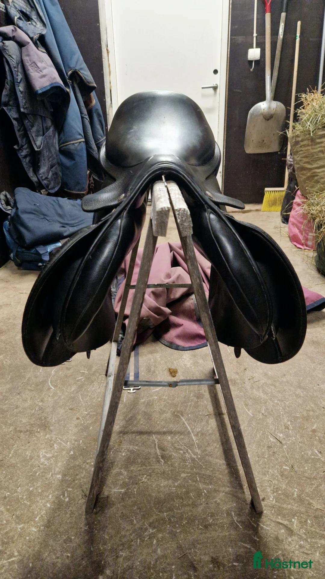 Sadlar hästutrustning till salu: Frank Baines Elan - Annons 2