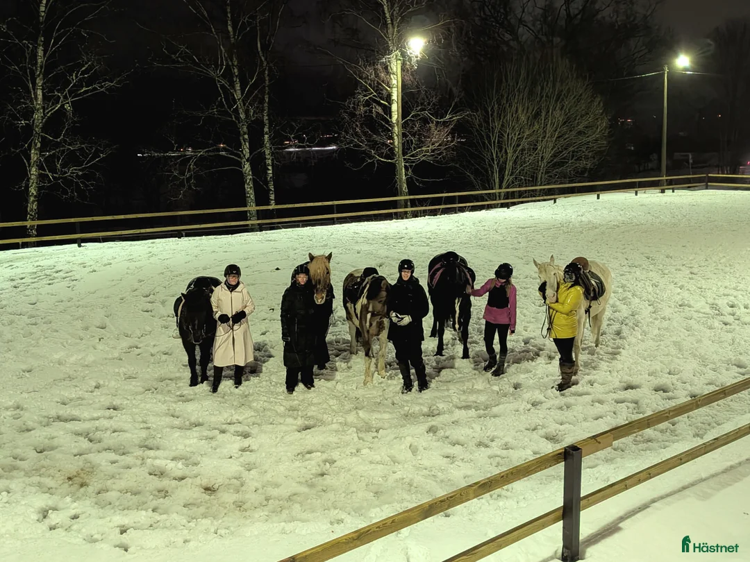  stallplats finnes: Stallplats finns i Kungsbacka - Annons 11