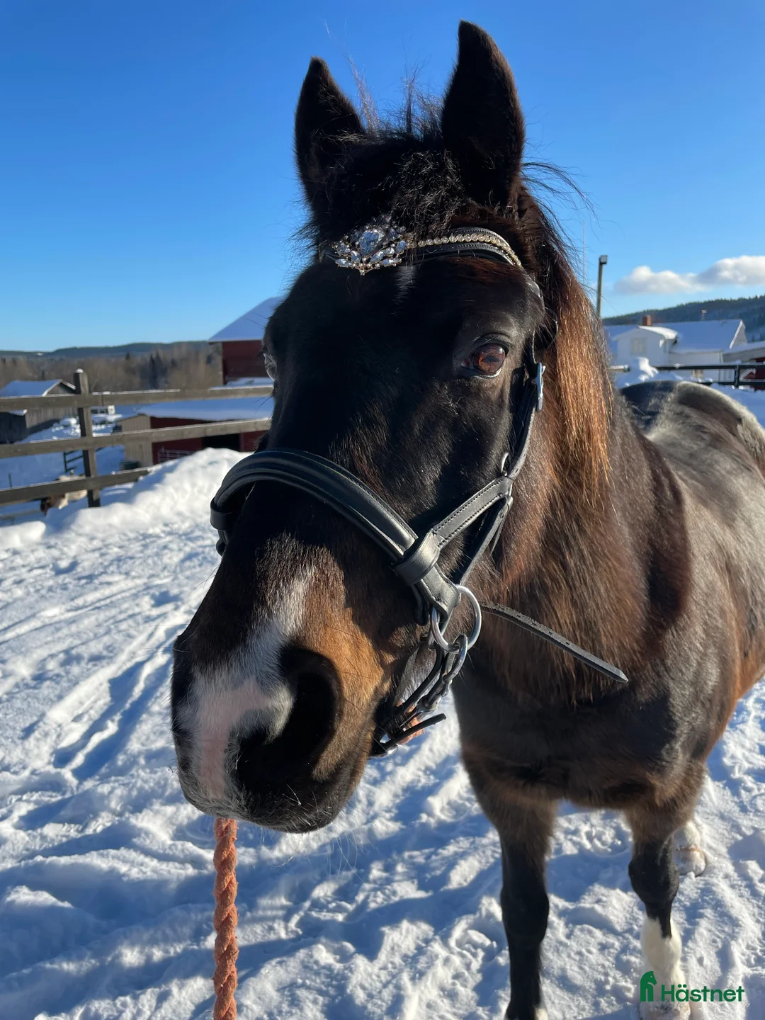 Galleribild {{count}}