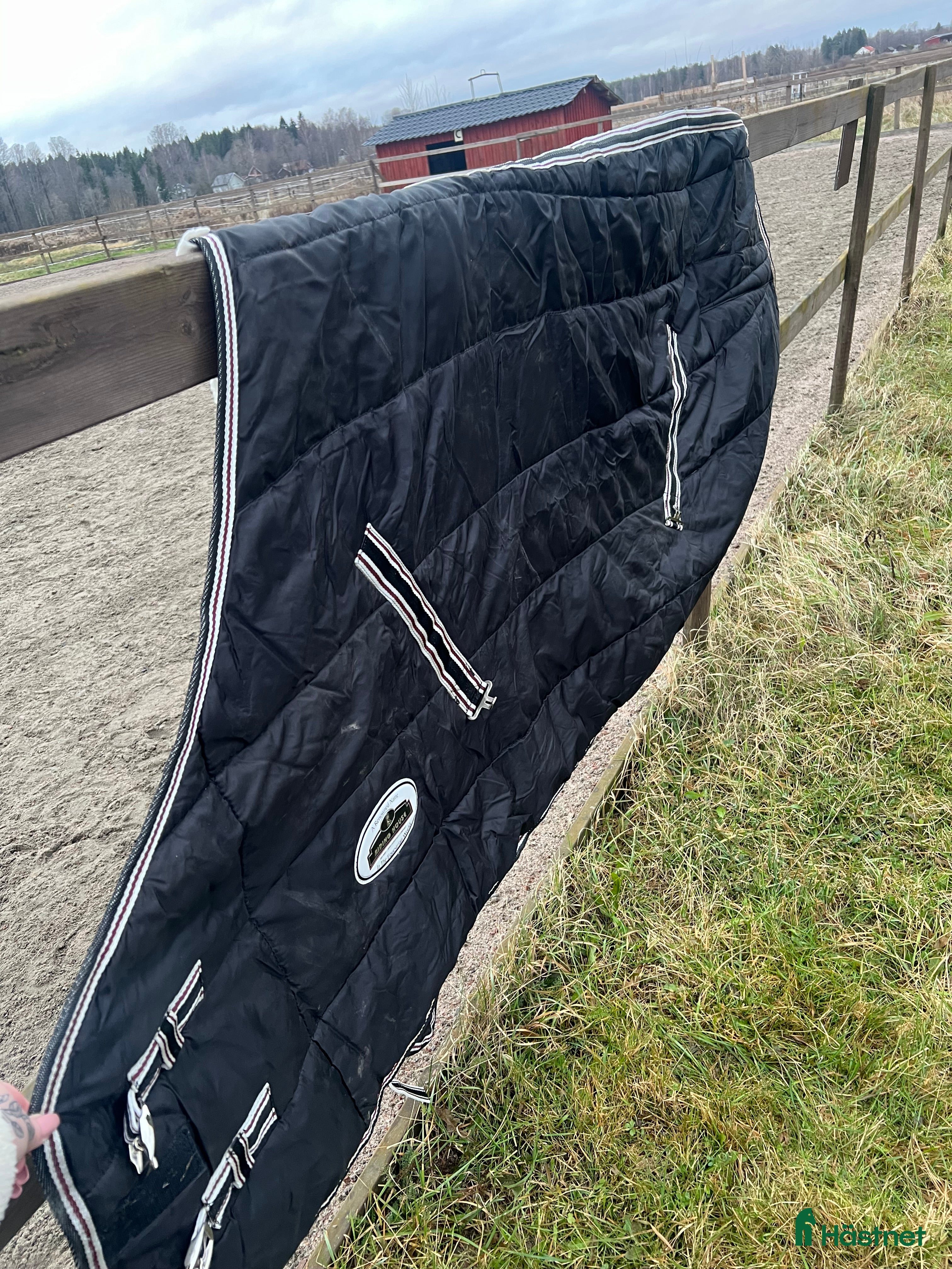 Täcken hästutrustning till salu: Stalltäcke i Karlstad - Annons 5