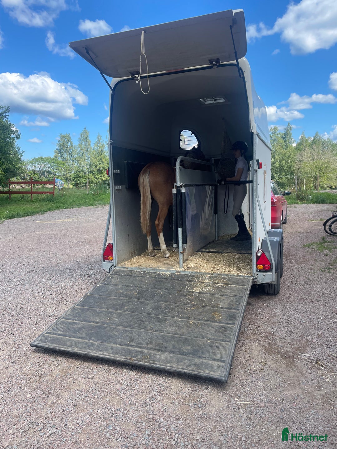 Hästtransporter  fordon & transport till salu: Vit välvårdad Cheval Liberté Gold (momsad) i Vimmerby - Annons 3