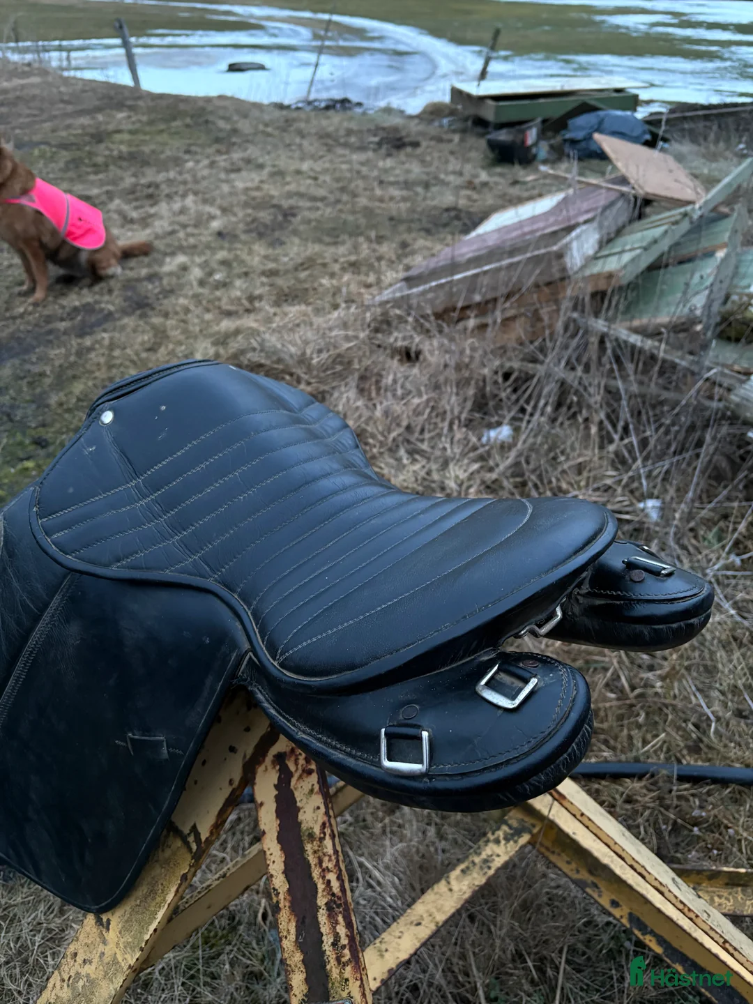 Sadlar hästutrustning till salu: Islandssadel  - Annons 4