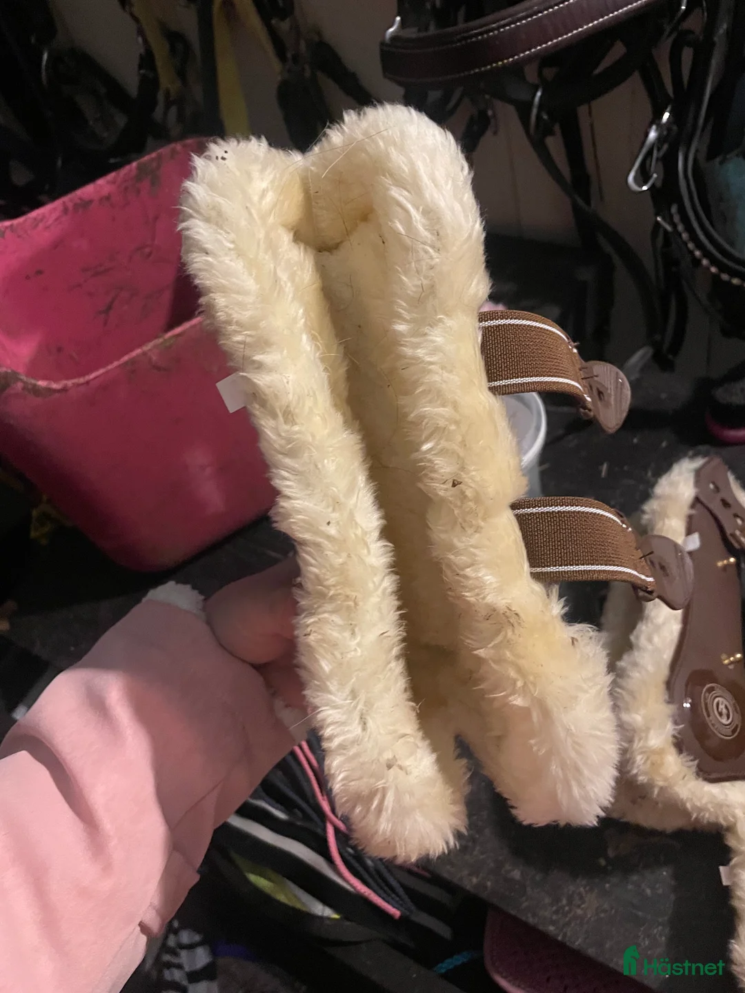 Benskydd hästutrustning till salu: Fina benskydd  i Sjuntorp - Annons 4