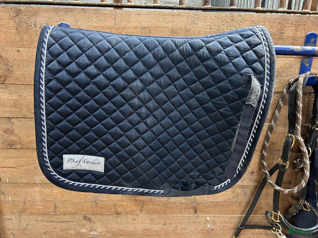 Sadlar hästutrustning till salu: Wintec sadel  i Listerby - Annons 11