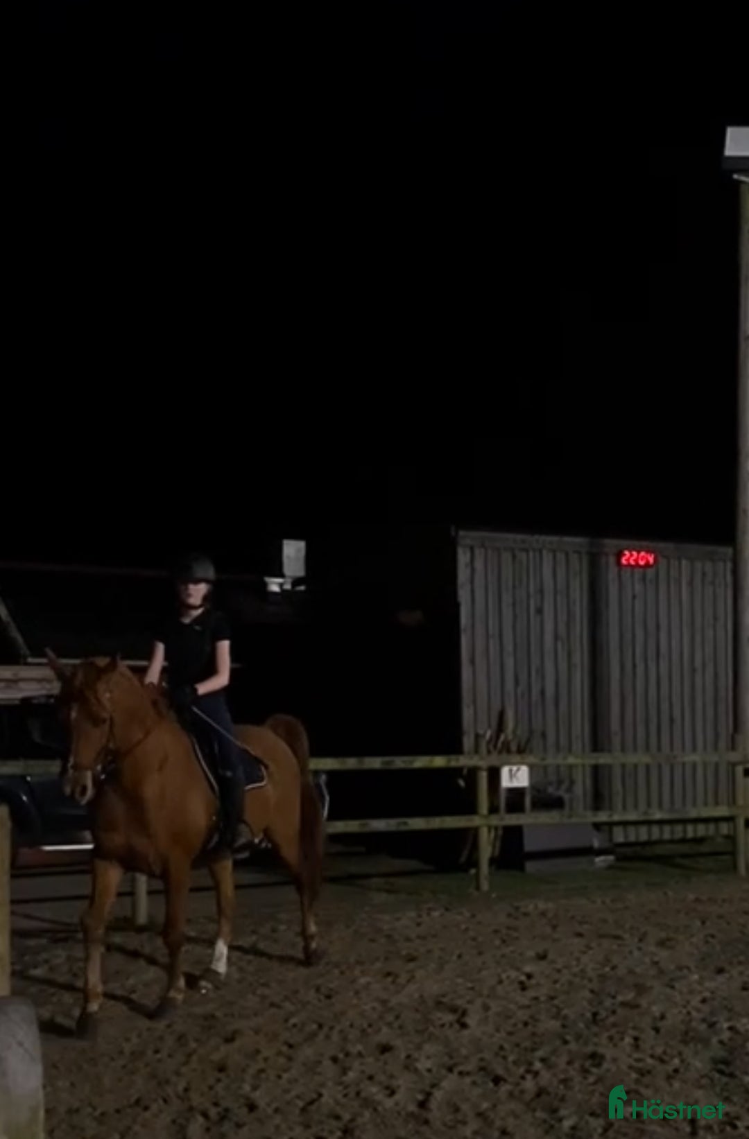 Allround hästar sökes: Foderhäst/medryttar häst sökes i Varberg! - Annons 1