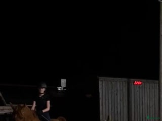 hästar Foderhäst/medryttar häst sökes i Varberg! - Annons 22