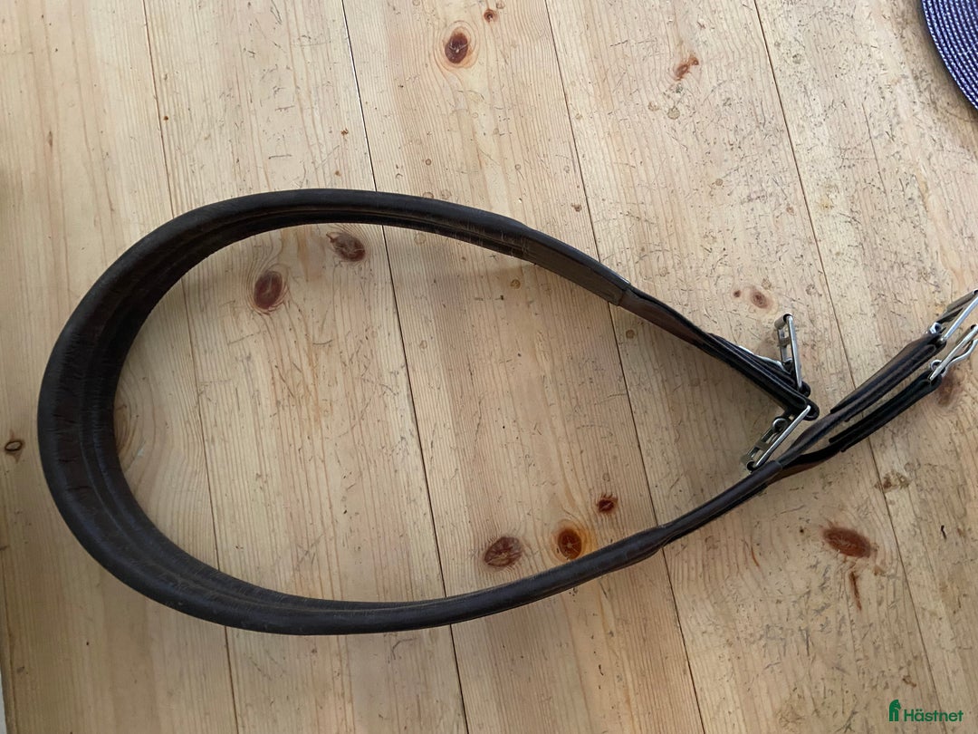 Sadeltillbehör hästutrustning till salu: Sadelgjord i läder  i Västerås - Annons 2