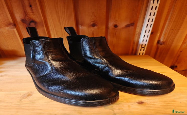 Övrig Ryttarutrustning ryttarutrustning till salu i Uppsala - Annons 16