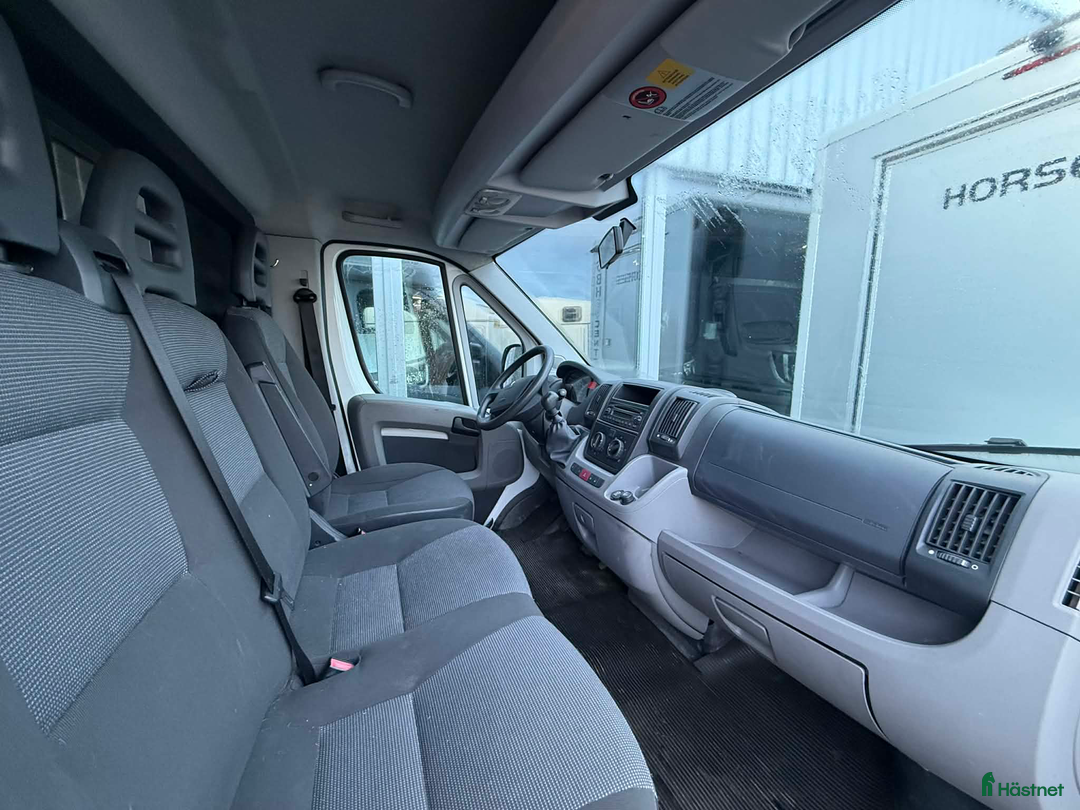 Hästlastbilar  fordon & transport till salu: Theault Firsteo med hög lastvikt!  i Köping - Annons 5