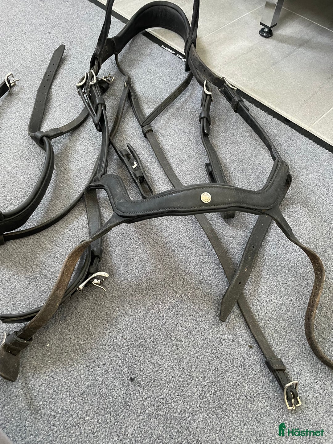 Träns hästutrustning till salu: Svart Antares träns med 2 st nosgrimmor i Västerås - Annons 3