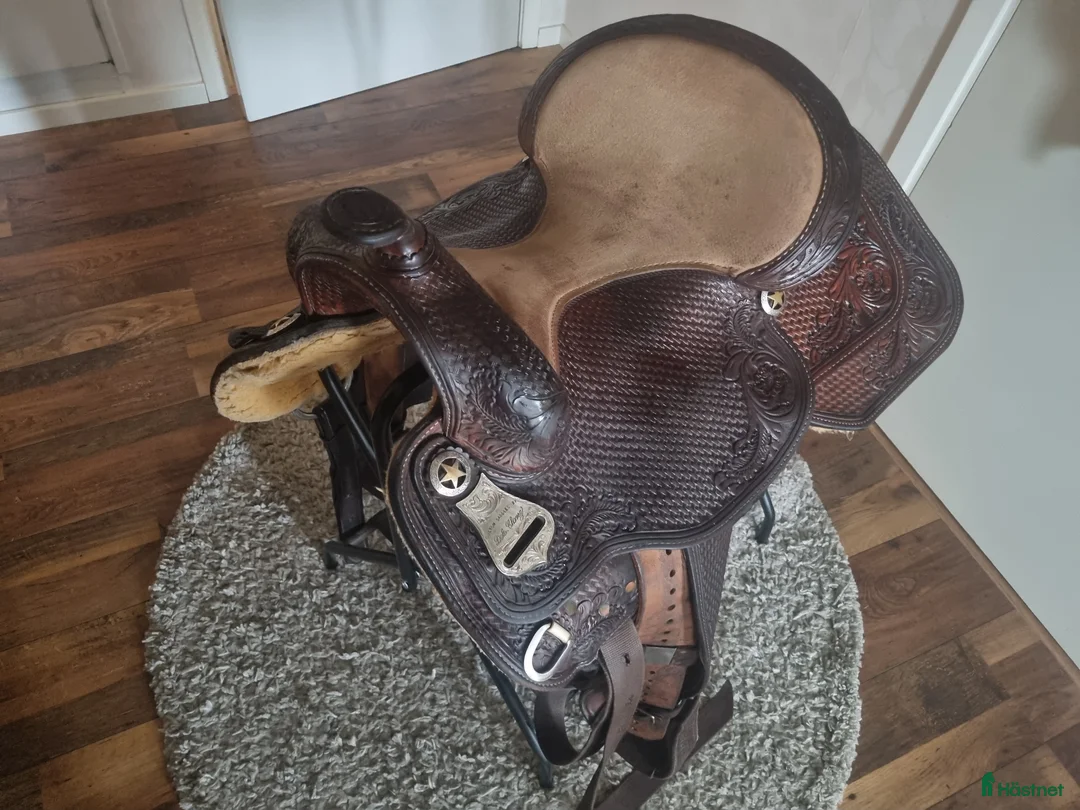 Sadlar hästutrustning till salu: Dale shavez i Jönköping - Annons 1