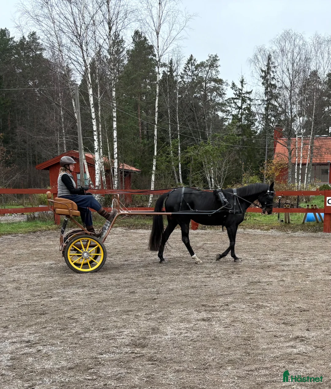 Körvagnar körning till salu: Inkörningsvagn med broms - Annons 2