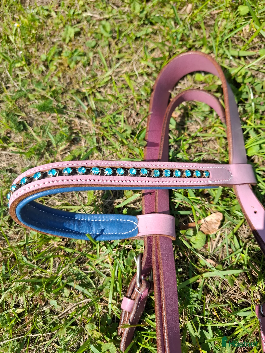 Träns hästutrustning till salu: Superrgulligt Rosa träns m bling i Läckeby - Annons 1