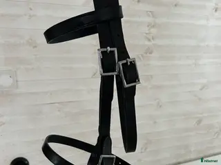 Övrig Körutrustning körning till salu: Körhuvudlag cob i Marieholmsbruk - Annons 4