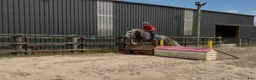 Allround hästar till salu: Irish Draught gelding 168cm - Annons 15