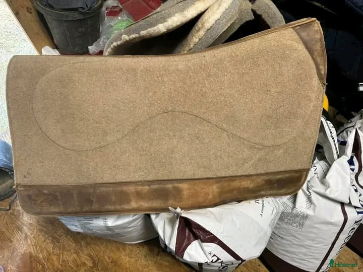 Schabrak & Vojlockar hästutrustning till salu: CSI SADDLE PAD i Köpenhamn - Annons 10