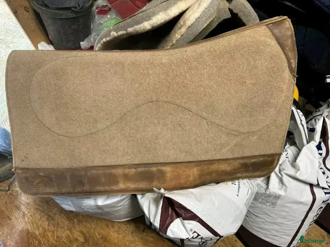 Schabrak & Vojlockar hästutrustning till salu: CSI SADDLE PAD i Köpenhamn - Annons 1