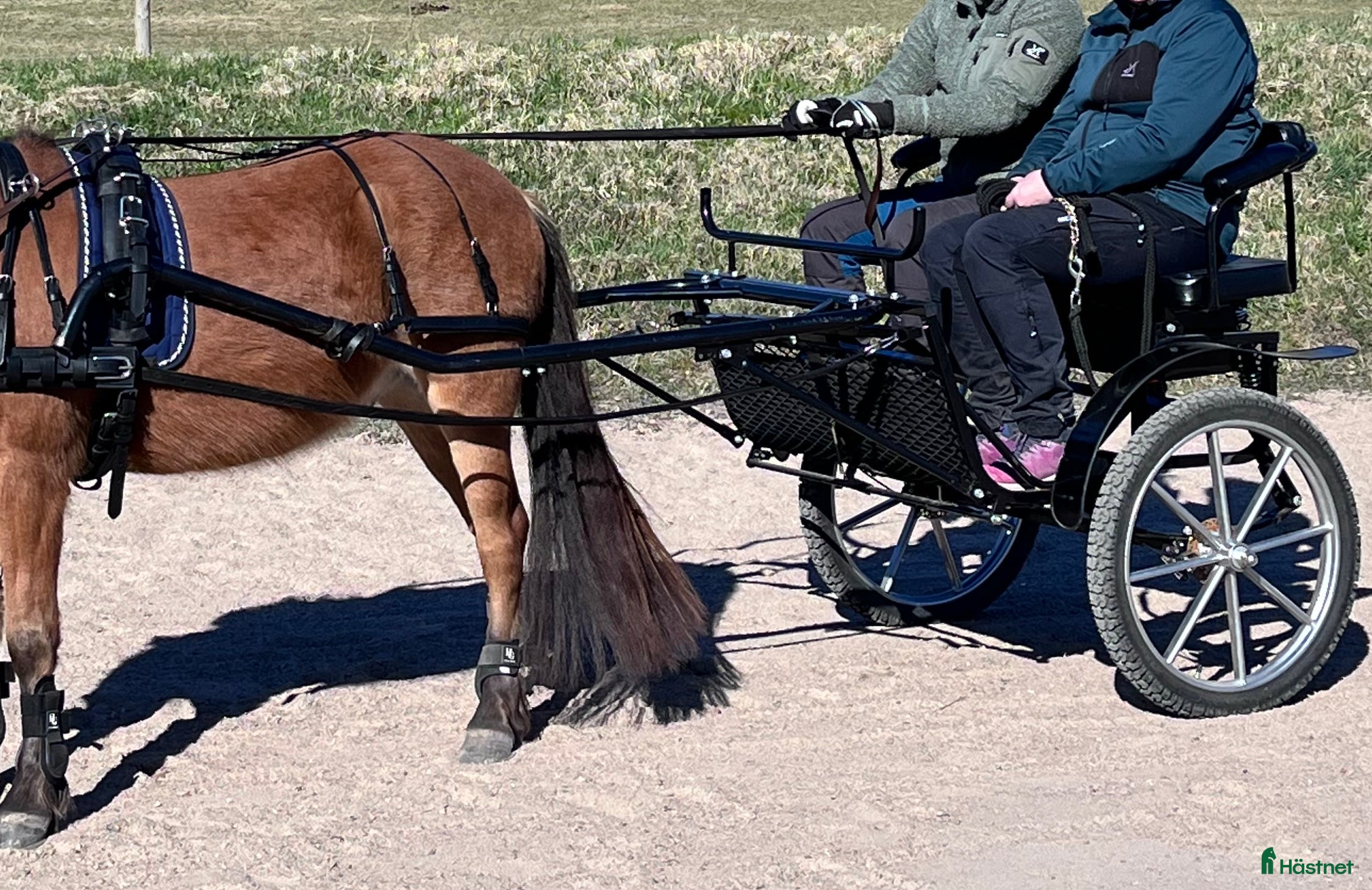 Körvagnar körning till salu: Rockard Oxer sport edition - Annons 13