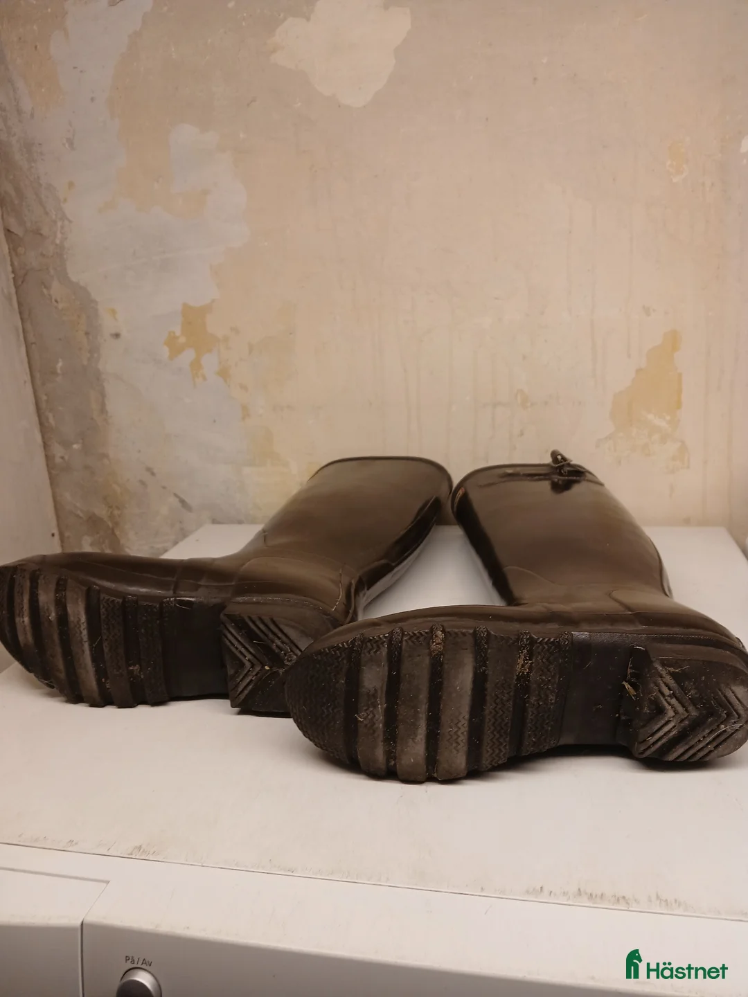 Övrig Ryttarutrustning ryttarutrustning till salu: Hunter original i Båstad - Annons 3