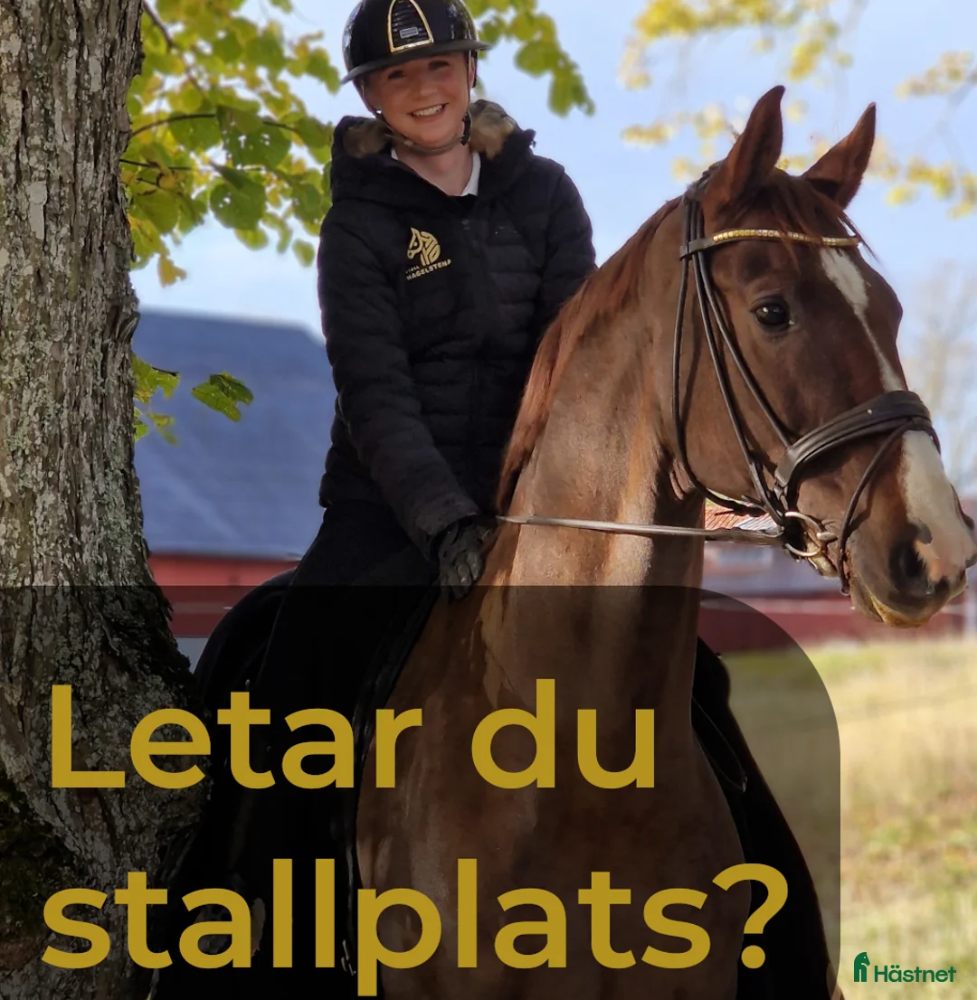  stallplats finnes: Letar du stallplats? Nära Uppsala och Stockholm - Annons 1