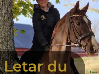 stallplats Letar du stallplats? Nära Uppsala och Stockholm - Annons 2