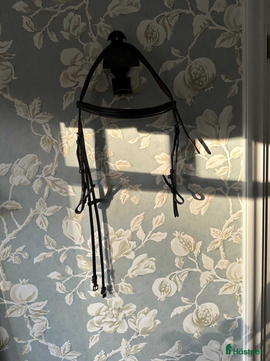 Träns hästutrustning till salu: Dyon Hackamore-träns  i Täby - Annons 2