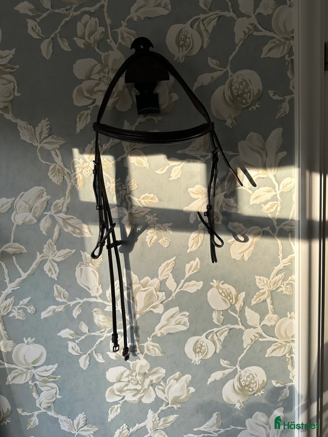 Träns hästutrustning till salu: Dyon Hackamore-träns  i Täby - Annons 2