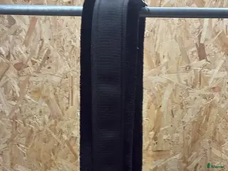 Sadeltillbehör hästutrustning Fluff sadelgjord 140 cm 🐴 - Annons 2