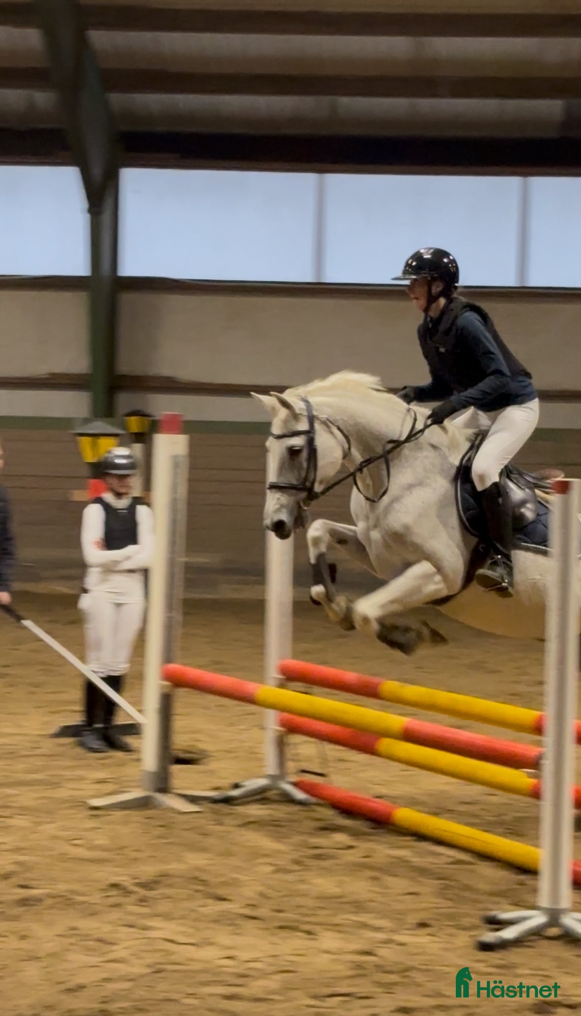  foderhäst Foderhäst för eventuellt senare köp i Gävle - Annons 1