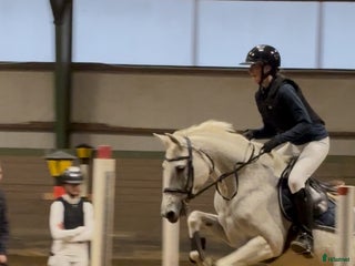 foderhäst Foderhäst för eventuellt senare köp i Gävle - Annons 9