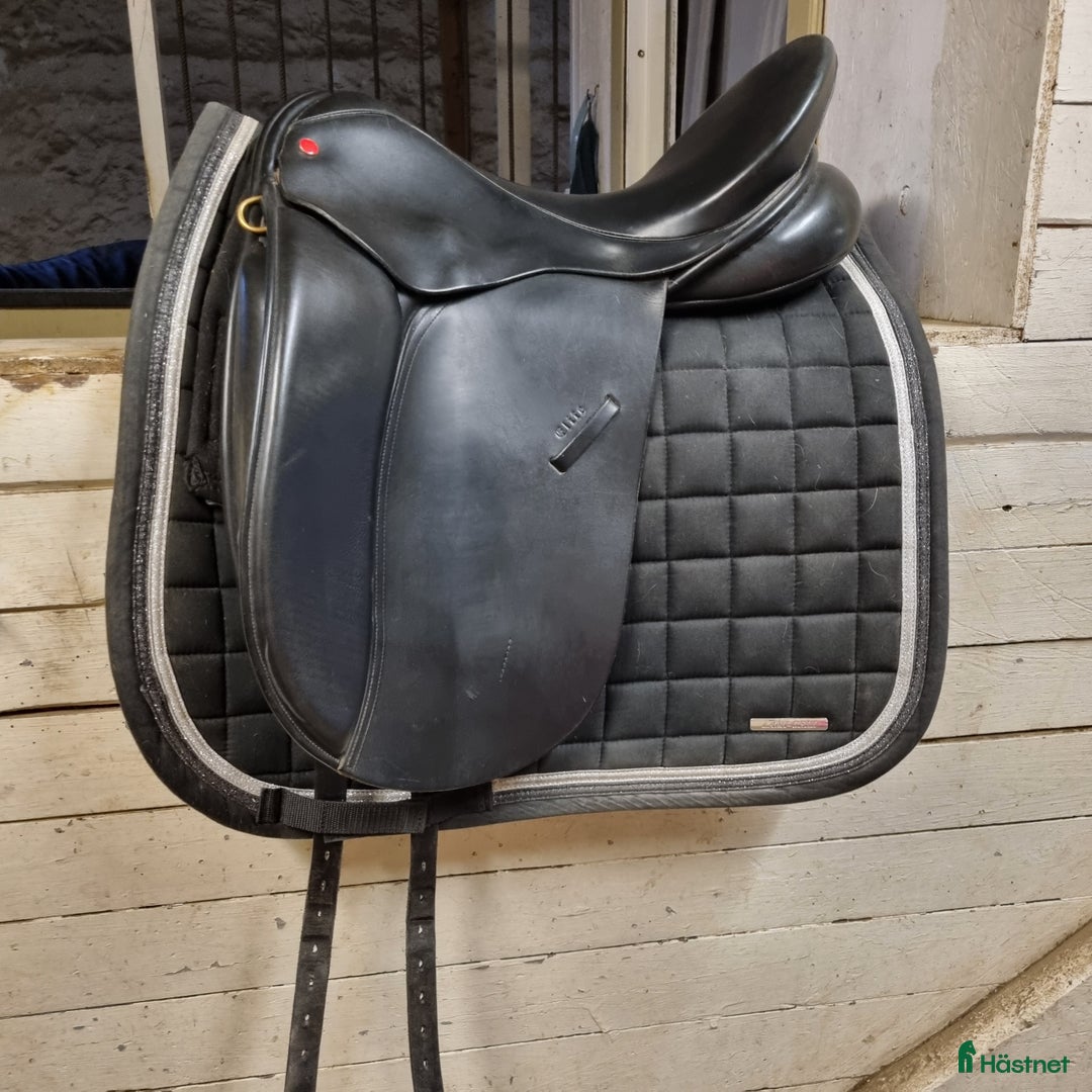 Sadlar hästutrustning till salu: Wellington Elite i Ludvika - Annons 2